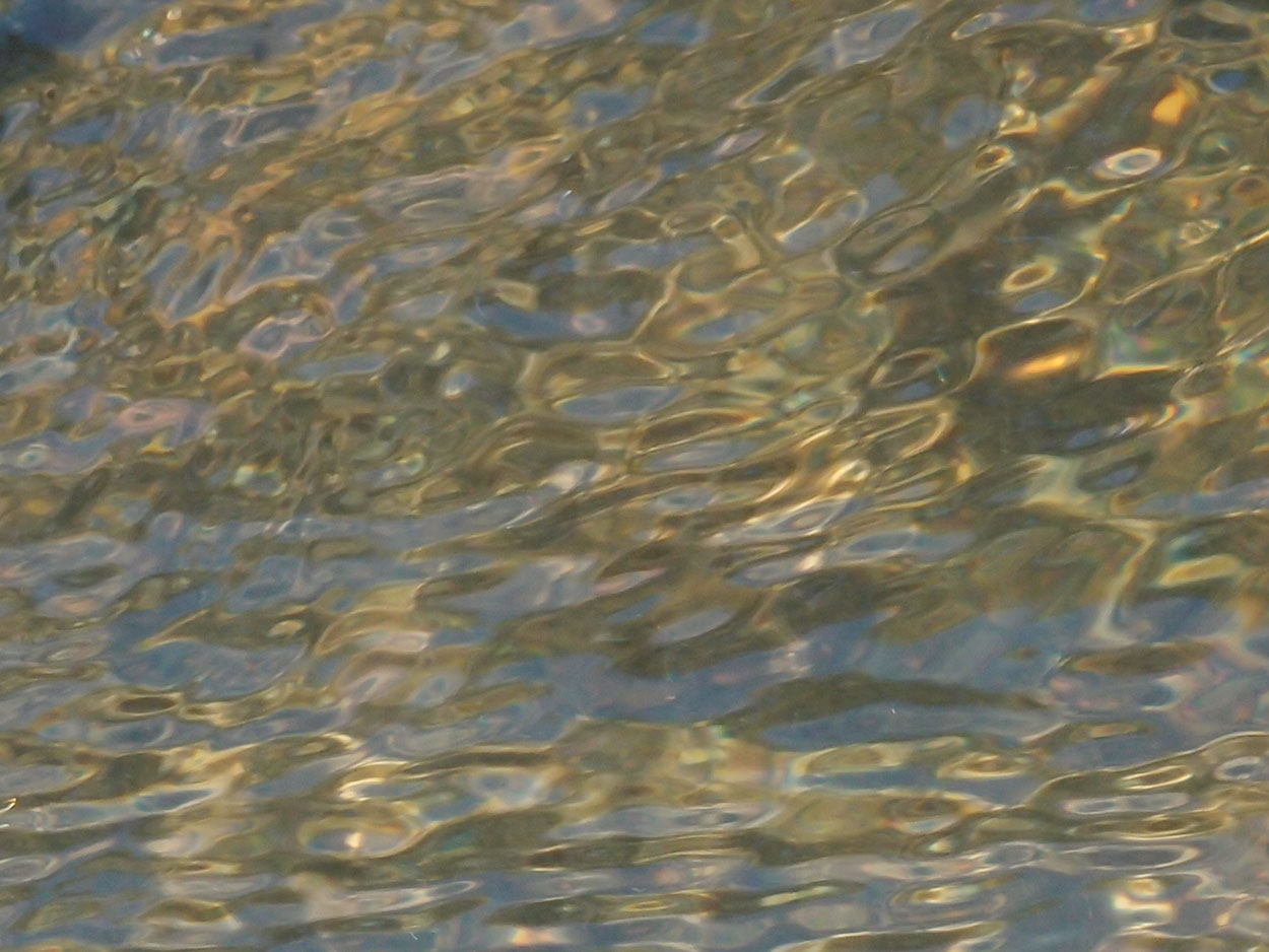 2016-02-10 am Fluss (Foto, Video)